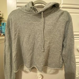 Urban Outfitters Cropped Gray Hoodie